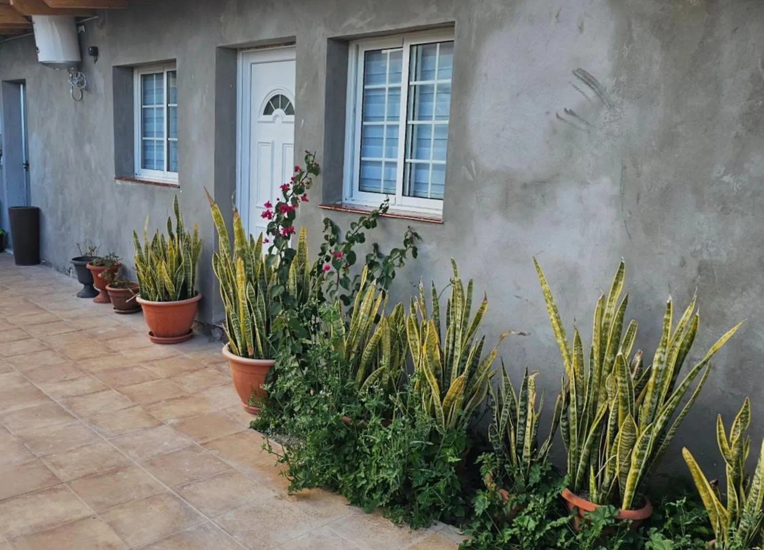 Appartement Eterna Primavera Fayna Granadilla De Abona