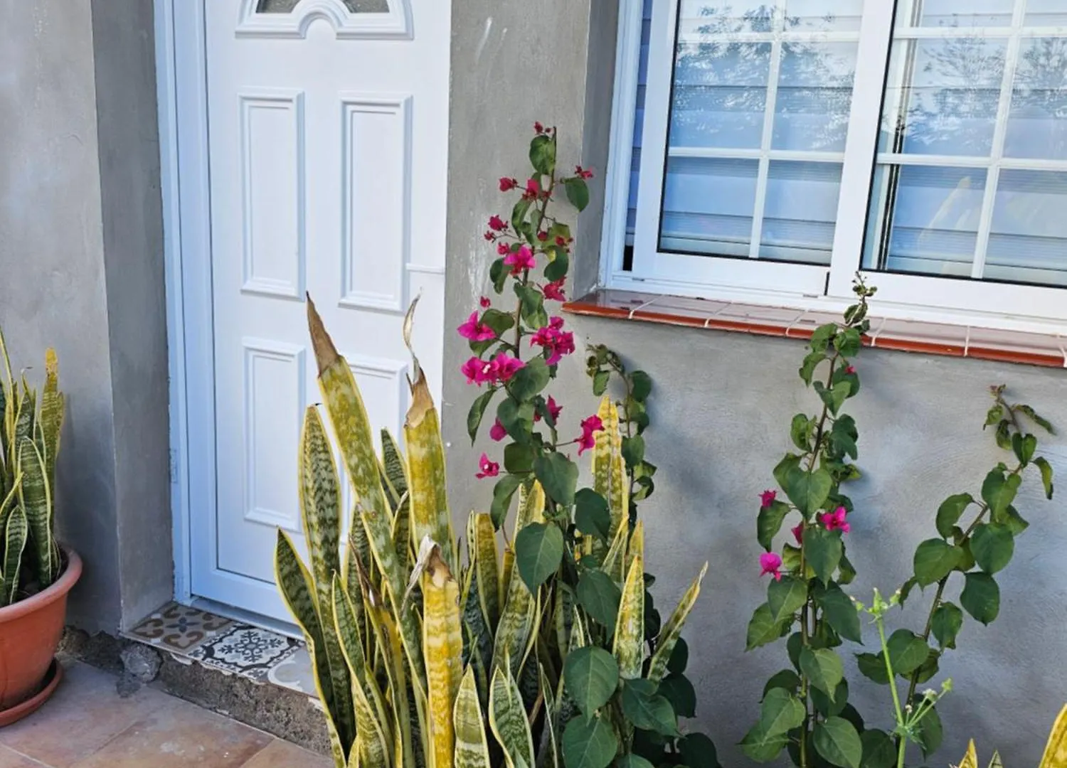 Appartement Eterna Primavera Fayna Granadilla De Abona